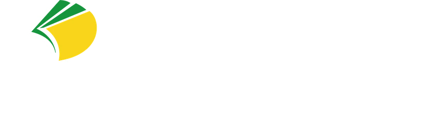 Professor Raudison